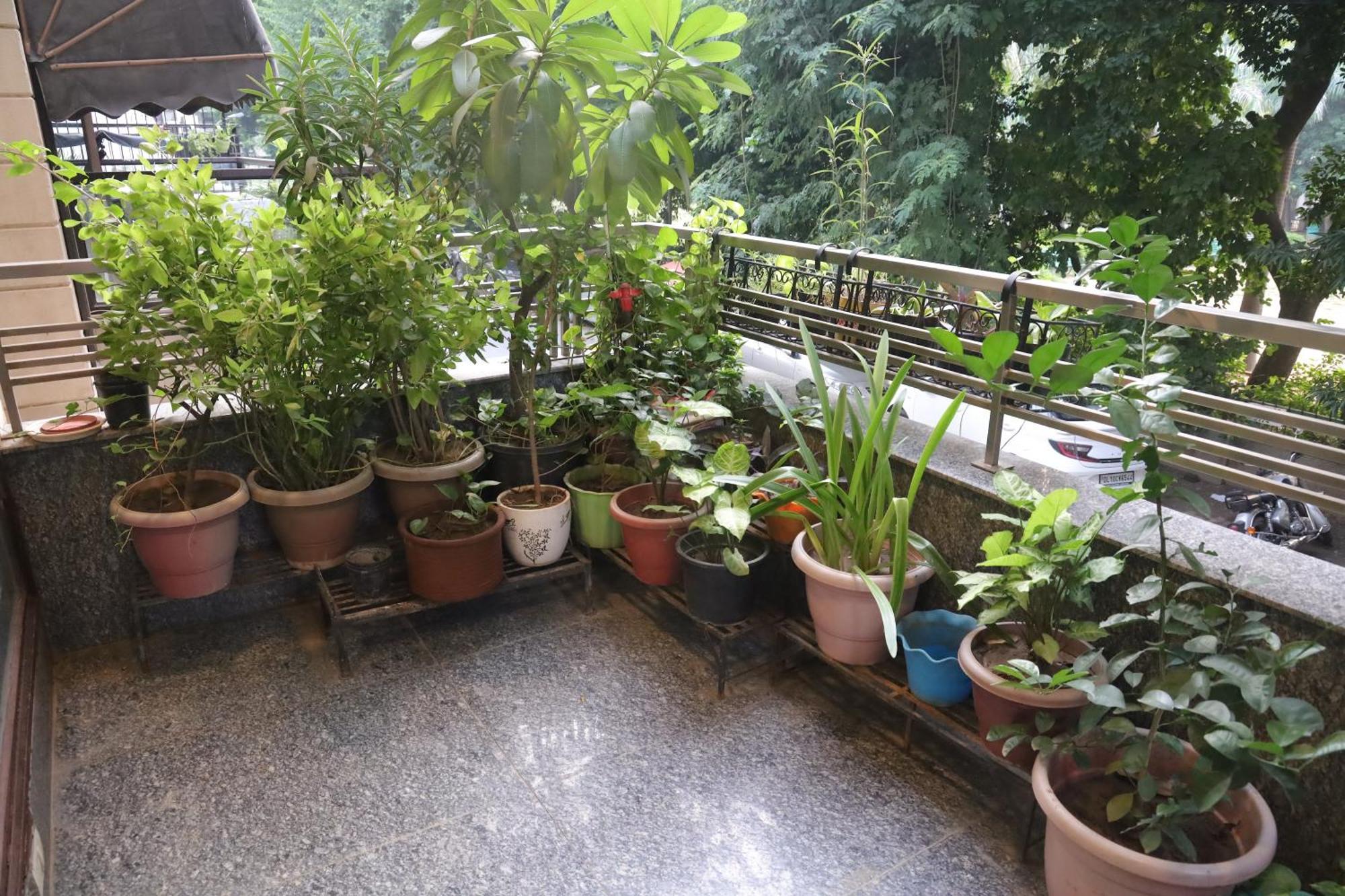Divine India Service 3bhk,j-267 Apartment *